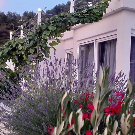 Vis - Luxury Holiday Villa With Swimming Pool Esterno foto