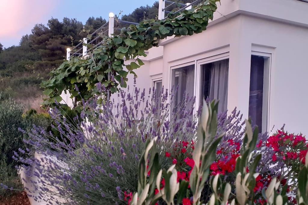 Vis - Luxury Holiday Villa With Swimming Pool Esterno foto